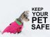 Winter Pet Safety Tips