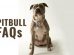 Pitbull FAQs