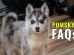 Pomsky FAQs