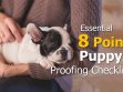 Puppy Proofing Essentials