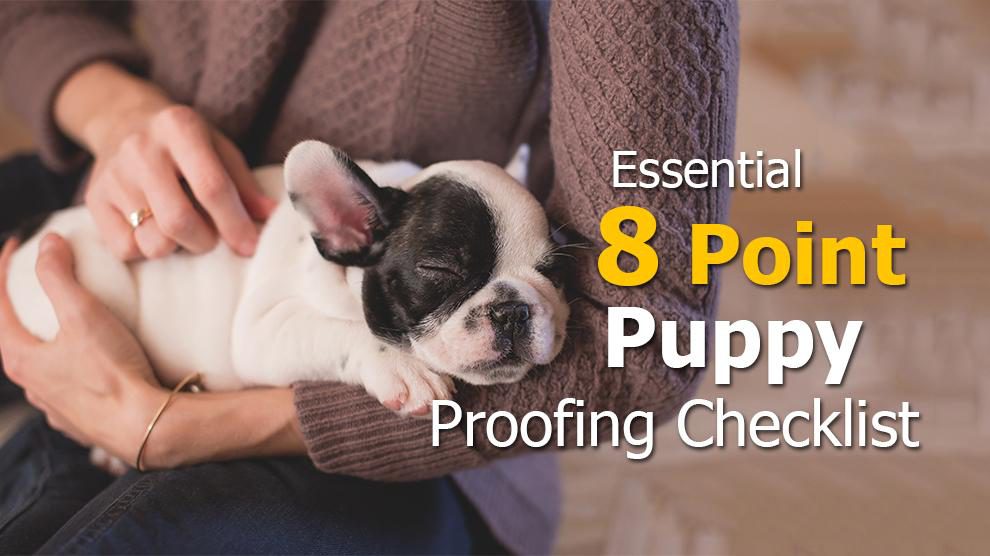 Puppy Proofing Essentials