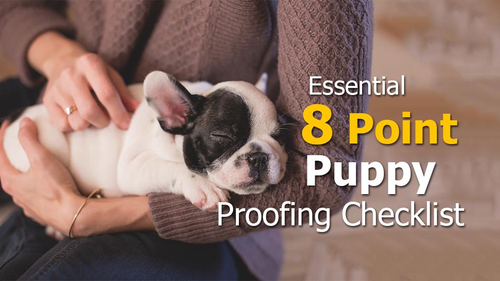 8 Point Puppy Proofing Checklist For First Time Pet Owners Petmoo
