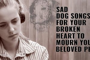 Sad Dog Songs