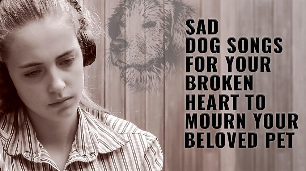 sad songs about dogs dying