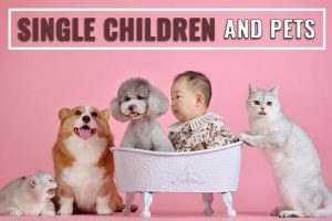 Single Children And Pets