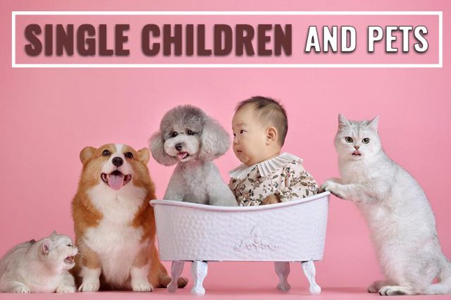 Single Children And Pets