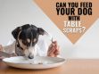 Table Scraps For Dogs