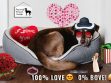 Valentine Gifts For Dogs
