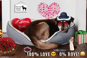 Valentine Gifts For Dogs