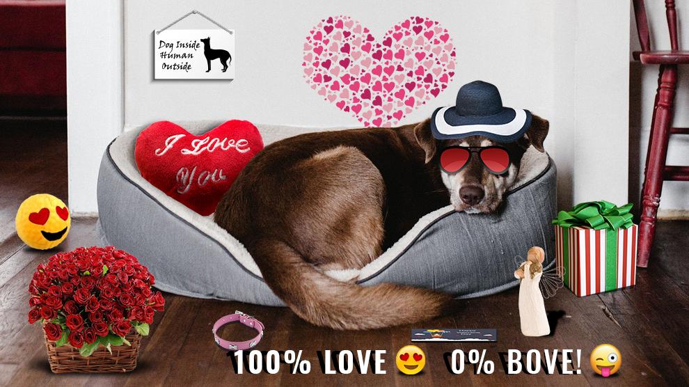 Valentine Gifts For Dogs 100 Love, 0 Bove! Petmoo