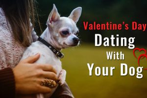 Valentine’s Day Date With Your Dog