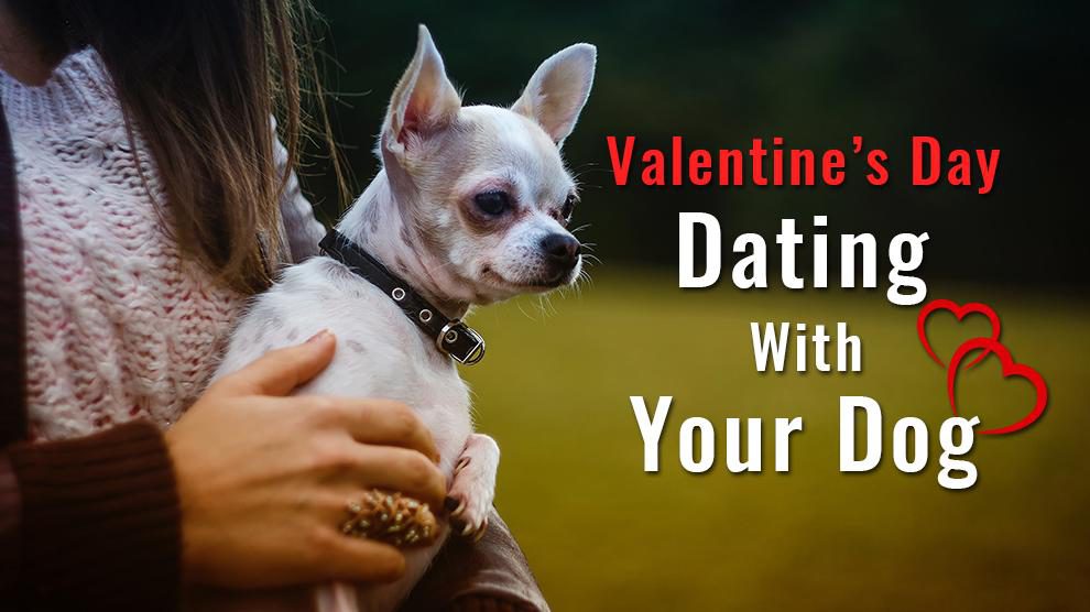 Valentine’s Day Date With Your Dog