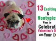 Valentines Day With Your Dog
