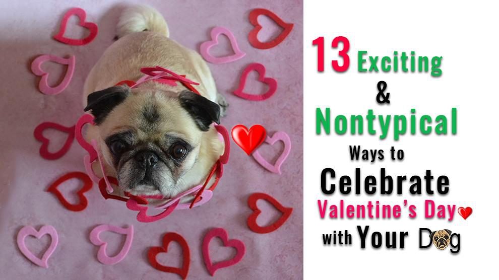 Valentines Day With Your Dog