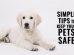 Tips To Keep Your Dogs Safely