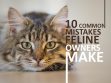 10 Common Mistakes Cat Owners Make