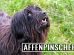 Affenpinscher