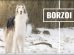 Borzoi