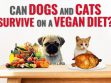 Can Dogs And Cats Survive On A Vegan Diet?