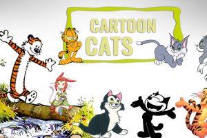 Cartoon Cats