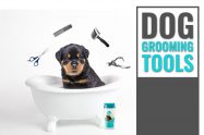 Dog Grooming Tools