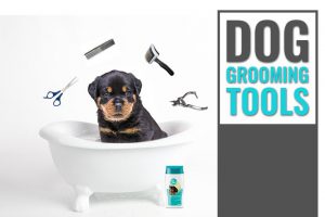 Dog Grooming Tools