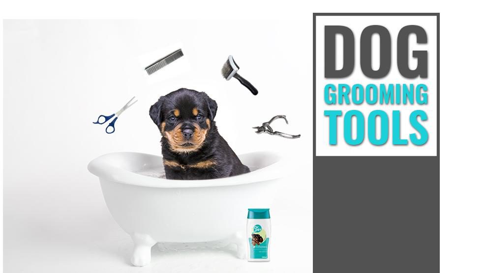 Dog Grooming Tools