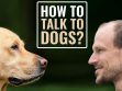 How To Talk To Dogs Without Smothering Them?