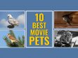 Movie Pets