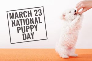 National Puppy Day