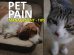 Pain Relief For Dogs
