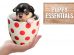 Puppy Essentials