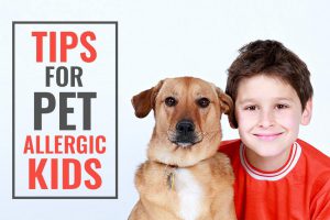 Infants Allergic To Dogs