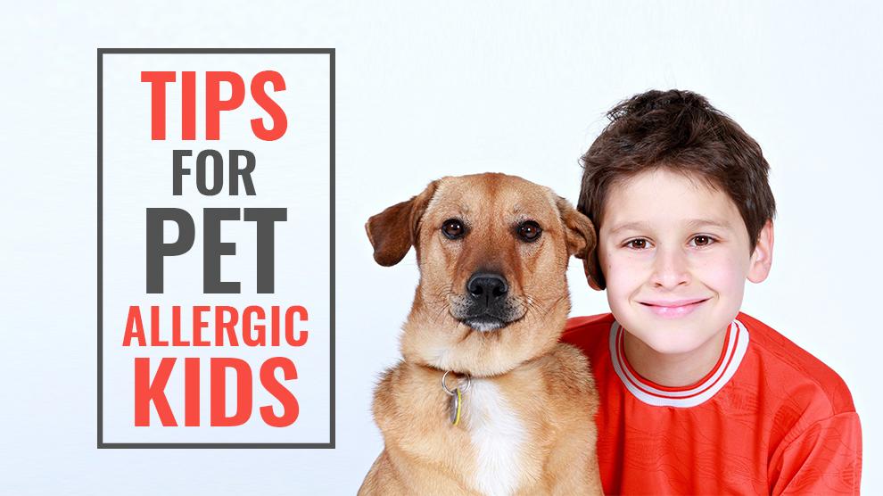 infant allergic to dog