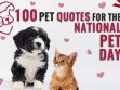 100 Pet Quotes For The National Pet Day