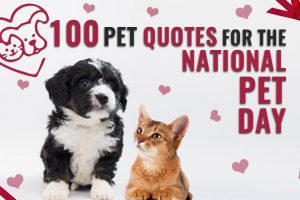 100 Pet Quotes For The National Pet Day