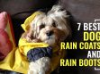 A Sneak Peek Into Most Popular Rain Boots and Raincoats For Dogs