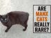 Are Manx Cats Really Rare?