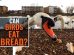 Can Birds Eat Bread?