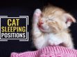 Cat Sleeping Positions