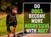 Dog's Behavior Changes With Age