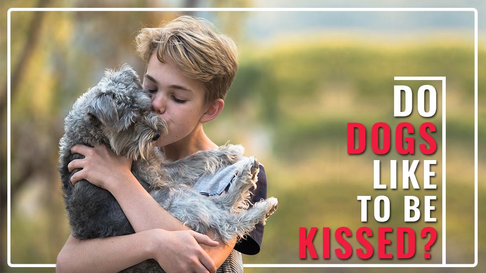 Do Dogs Know What Human Kisses Mean