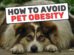 How To Avoid Pet Obesity?