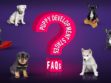 Puppy Development Stages FAQ