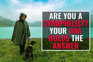 Are You A Cynophilist
