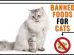 Toxic Foods For Cats