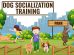 Dog Socialization Training