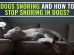 Dogs Snoring And How To Stop Snoring In Dogs?