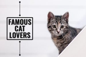Famous Cat Lovers