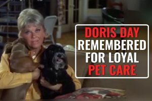 How Doris Day Made The World A Better Place For Pets?